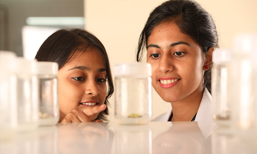 Plant Tissue Culture Lab
