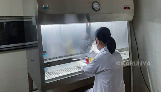 Microbial Analysis