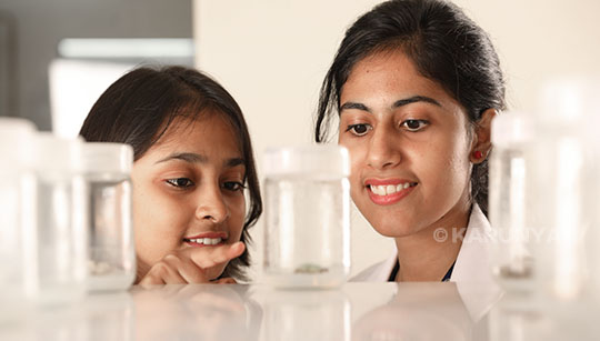 Plant Tissue Culture Lab