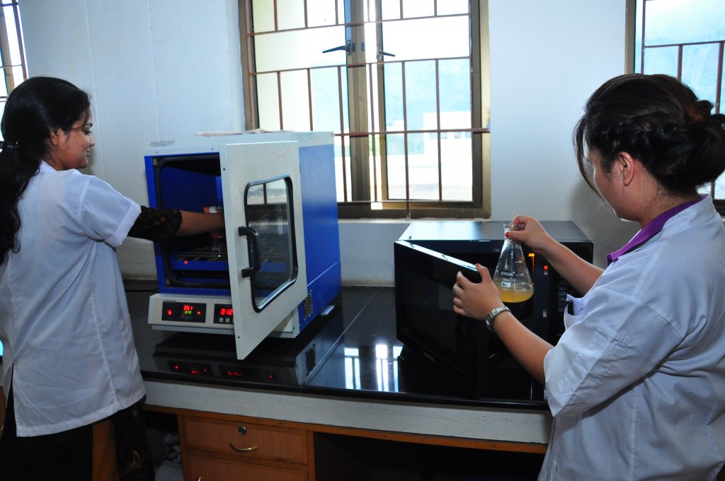 Bioremediation